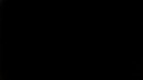 清本